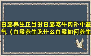 白露养生正当时白露吃牛肉补中益气（白露养生吃什么白露如何养生注意事项）