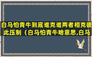 白马怕青牛到底谁克谁两者相克彼此压制（白马怕青牛啥意思,白马是什么命呢）