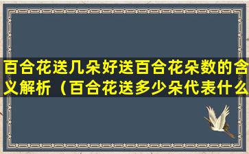 百合花送几朵好送百合花朵数的含义解析（百合花送多少朵代表什么意思）