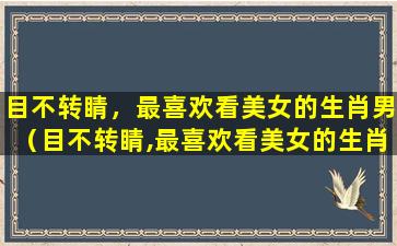 目不转睛，最喜欢看美女的生肖男（目不转睛,最喜欢看美女的生肖男）