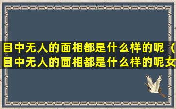 目中无人的面相都是什么样的呢（目中无人的面相都是什么样的呢女生）