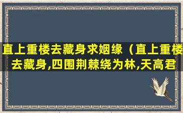 直上重楼去藏身求姻缘（直上重楼去藏身,四围荆棘绕为林,天高君命长婚姻）