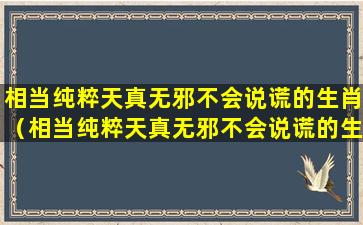 相当纯粹天真无邪不会说谎的生肖（相当纯粹天真无邪不会说谎的生肖是什么）