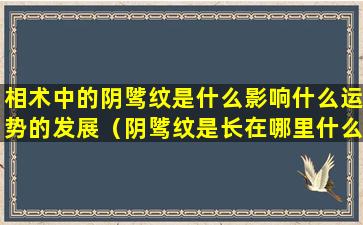 相术中的阴骘纹是什么影响什么运势的发展（阴骘纹是长在哪里什么样的）