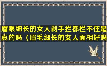 眉眼细长的女人剁手拦都拦不住是真的吗（眉毛细长的女人面相好吗）