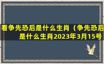 看争先恐后是什么生肖（争先恐后是什么生肖2023年3月15号）