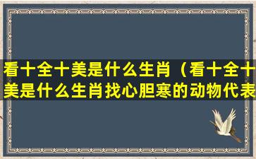 看十全十美是什么生肖（看十全十美是什么生肖找心胆寒的动物代表什么生肖）