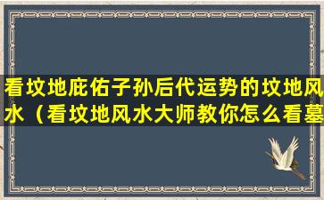 看坟地庇佑子孙后代运势的坟地风水（看坟地风水大师教你怎么看墓地）