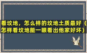 看坟地，怎么样的坟地土质最好（怎样看坟地能一眼看出他家好坏）