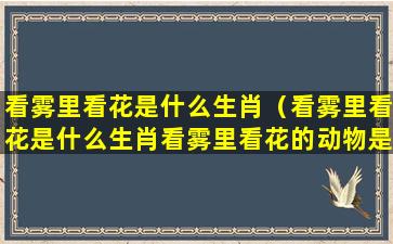 看雾里看花是什么生肖（看雾里看花是什么生肖看雾里看花的动物是什么生肖）