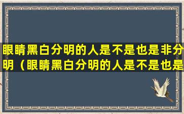 眼睛黑白分明的人是不是也是非分明（眼睛黑白分明的人是不是也是非分明的人）