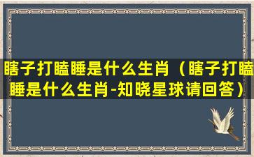 瞎子打瞌睡是什么生肖（瞎子打瞌睡是什么生肖-知晓星球请回答）