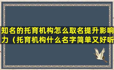 知名的托育机构怎么取名提升影响力（托育机构什么名字简单又好听）