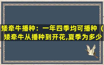 矮牵牛播种：一年四季均可播种（矮牵牛从播种到开花,夏季为多少天）