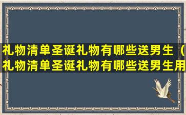 礼物清单圣诞礼物有哪些送男生（礼物清单圣诞礼物有哪些送男生用的）