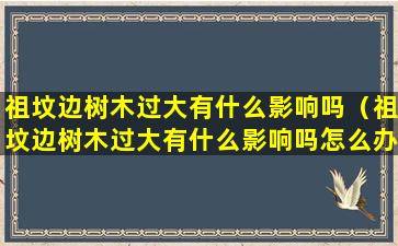 祖坟边树木过大有什么影响吗（祖坟边树木过大有什么影响吗怎么办）