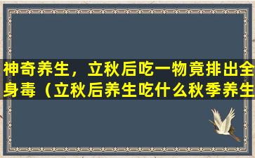 神奇养生，立秋后吃一物竟排出全身毒（立秋后养生吃什么秋季养生注意事项有哪些）