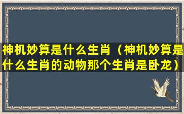 神机妙算是什么生肖（神机妙算是什么生肖的动物那个生肖是卧龙）