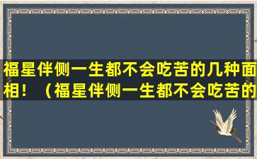 福星伴侧一生都不会吃苦的几种面相！（福星伴侧一生都不会吃苦的几种面相!）