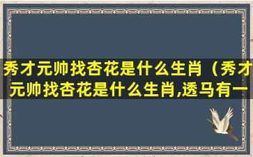 秀才元帅找杏花是什么生肖（秀才元帅找杏花是什么生肖,透马有一连八数）