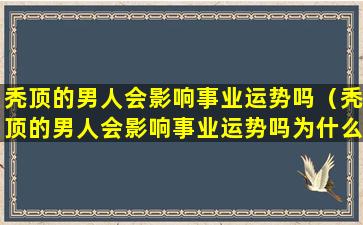 秃顶的男人会影响事业运势吗（秃顶的男人会影响事业运势吗为什么）