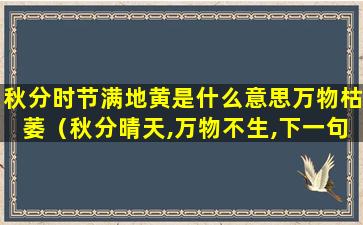 秋分时节满地黄是什么意思万物枯萎（秋分晴天,万物不生,下一句是啥）