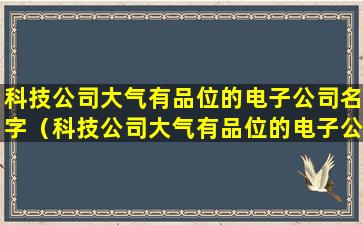 科技公司大气有品位的电子公司名字（科技公司大气有品位的电子公司名字叫什么）