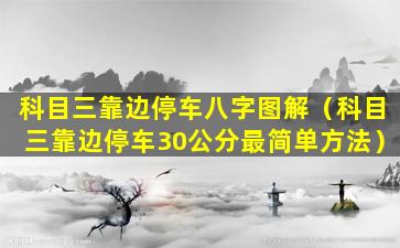 科目三靠边停车八字图解（科目三靠边停车30公分最简单方法）