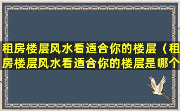 租房楼层风水看适合你的楼层（租房楼层风水看适合你的楼层是哪个）