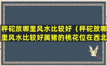 秤砣放哪里风水比较好（秤砣放哪里风水比较好属猪的桃花位在西北方）