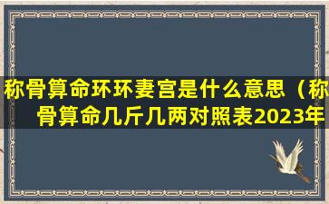 称骨算命环环妻宫是什么意思（称骨算命几斤几两对照表2023年）