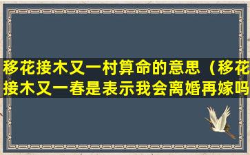 移花接木又一村算命的意思（移花接木又一春是表示我会离婚再嫁吗）