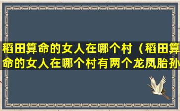 稻田算命的女人在哪个村（稻田算命的女人在哪个村有两个龙凤胎孙子）