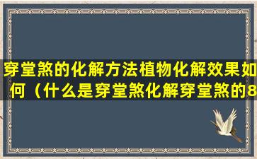 穿堂煞的化解方法植物化解效果如何（什么是穿堂煞化解穿堂煞的8个要点）