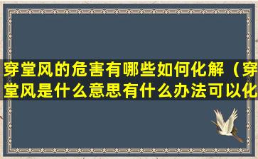 穿堂风的危害有哪些如何化解（穿堂风是什么意思有什么办法可以化解吗）