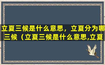 立夏三候是什么意思，立夏分为哪三候（立夏三候是什么意思,立夏分为哪三候）