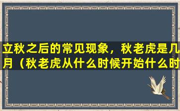 立秋之后的常见现象，秋老虎是几月（秋老虎从什么时候开始什么时候结束）