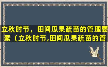 立秋时节，田间瓜果疏苗的管理要素（立秋时节,田间瓜果疏苗的管理要素有哪些）