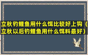 立秋钓鲤鱼用什么饵比较好上钩（立秋以后钓鲤鱼用什么饵料最好）