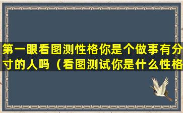 第一眼看图测性格你是个做事有分寸的人吗（看图测试你是什么性格的人）