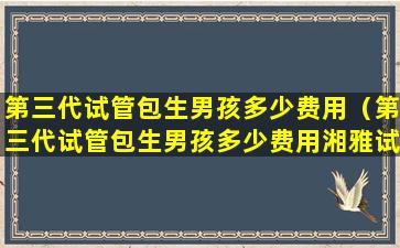 第三代试管包生男孩多少费用（第三代试管包生男孩多少费用湘雅试管婴儿价格）