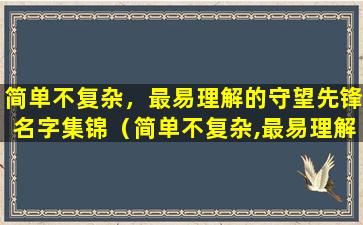 简单不复杂，最易理解的守望先锋名字集锦（简单不复杂,最易理解的守望先锋名字集锦）