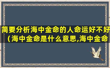 简要分析海中金命的人命运好不好（海中金命是什么意思,海中金命好不好）