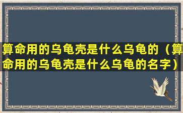 算命用的乌龟壳是什么乌龟的（算命用的乌龟壳是什么乌龟的名字）