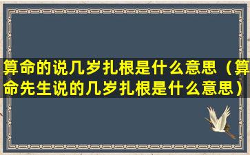 算命的说几岁扎根是什么意思（算命先生说的几岁扎根是什么意思）