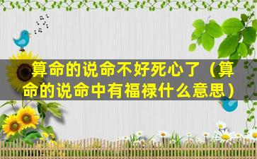 算命的说命不好死心了（算命的说命中有福禄什么意思）