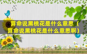 算命说黑桃花是什么意思（算命说黑桃花是什么意思啊）