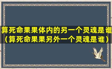 算死命果果体内的另一个灵魂是谁（算死命果果另外一个灵魂是谁）