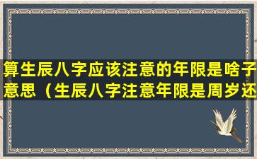 算生辰八字应该注意的年限是啥子意思（生辰八字注意年限是周岁还是虚岁）