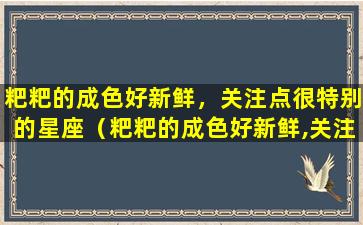 粑粑的成色好新鲜，关注点很特别的星座（粑粑的成色好新鲜,关注点很特别的星座）